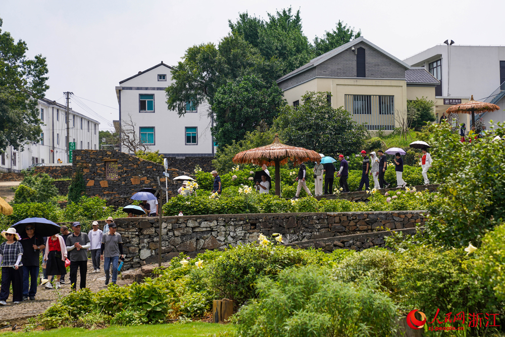 6月24日，宁波市宁海县强蛟镇骆家坑村，众多市民和游客前来打卡游玩。该村以“艺术+赏花游”为切入口，深耕乡村旅游，走出了一条“以花兴旅、以旅富农”的乡村振兴新路径。人民网 章勇涛摄