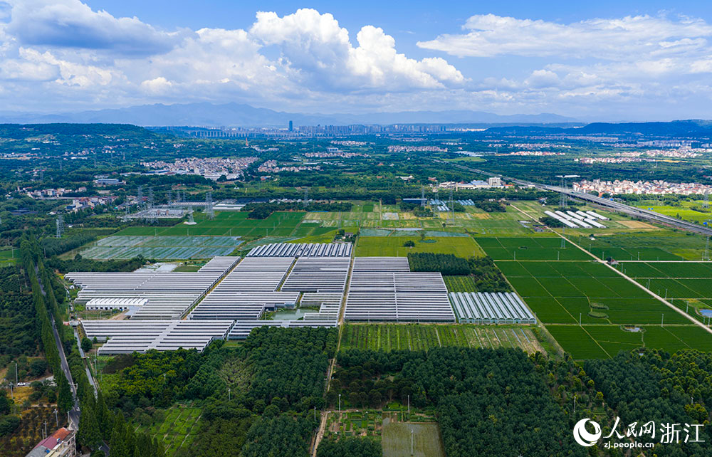 近日，在浙江省嵊州市甘霖鎮，成片的高標准農田排列整齊，與青山、村落、村道等交相輝映，勾勒出一幅美麗的田園風光畫卷。人民網 章勇濤攝