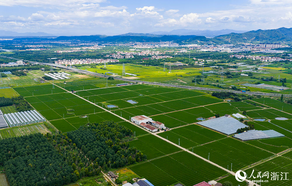 近日，在浙江省嵊州市甘霖镇，成片的高标准农田排列整齐，与青山、村落、村道等交相辉映，勾勒出一幅美丽的田园风光画卷。人民网 章勇涛摄