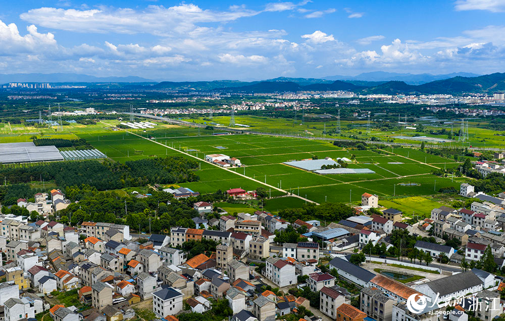 近日，在浙江省嵊州市甘霖镇，成片的高标准农田排列整齐，与青山、村落、村道等交相辉映，勾勒出一幅美丽的田园风光画卷。人民网 章勇涛摄