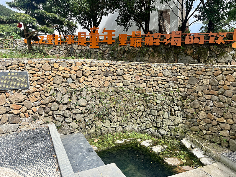 在東山村，沈沅寶常年取水的源流井。人民網記者 汪瑞華攝