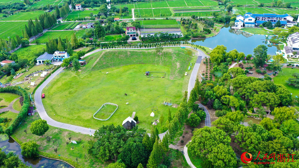 碧雲花園現代農業產業園融合生產、旅游、科研等多元業態。人民網記者 郭揚攝