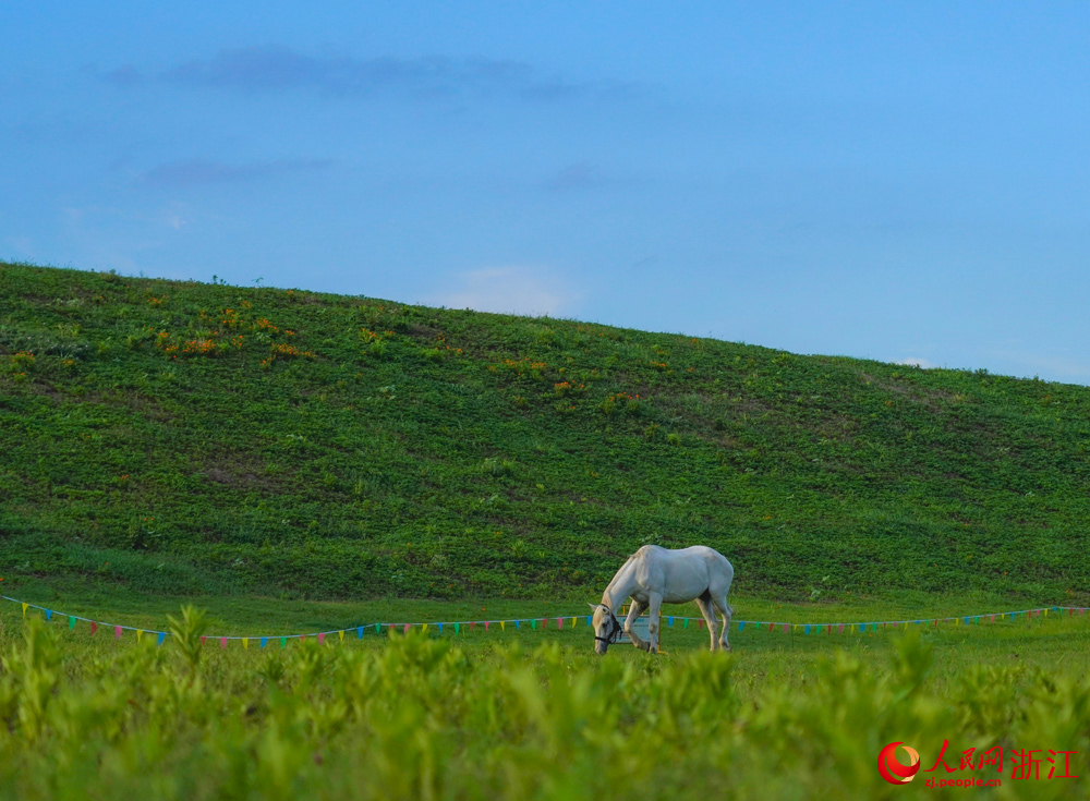 碧雲花園裡的動物牧場。人民網記者 郭揚攝