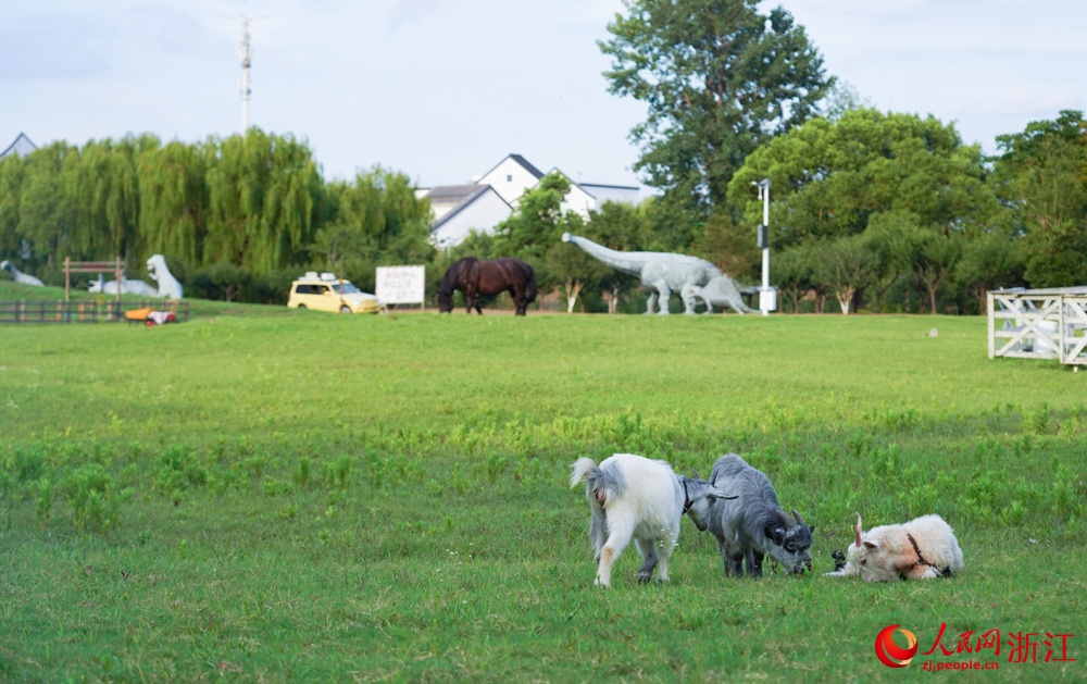碧雲花園裡的動物牧場。人民網記者 郭揚攝