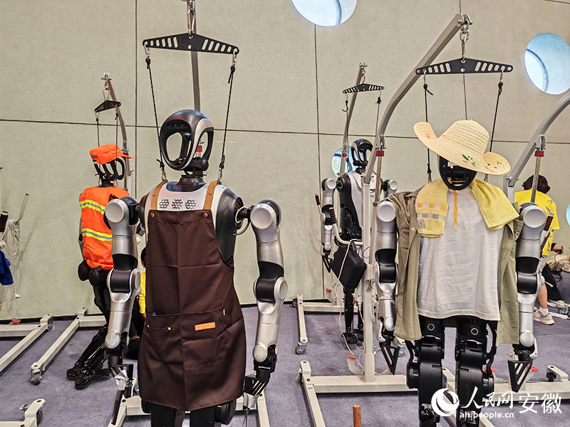 各參賽隊伍機器人模型。人民網 丁紀攝