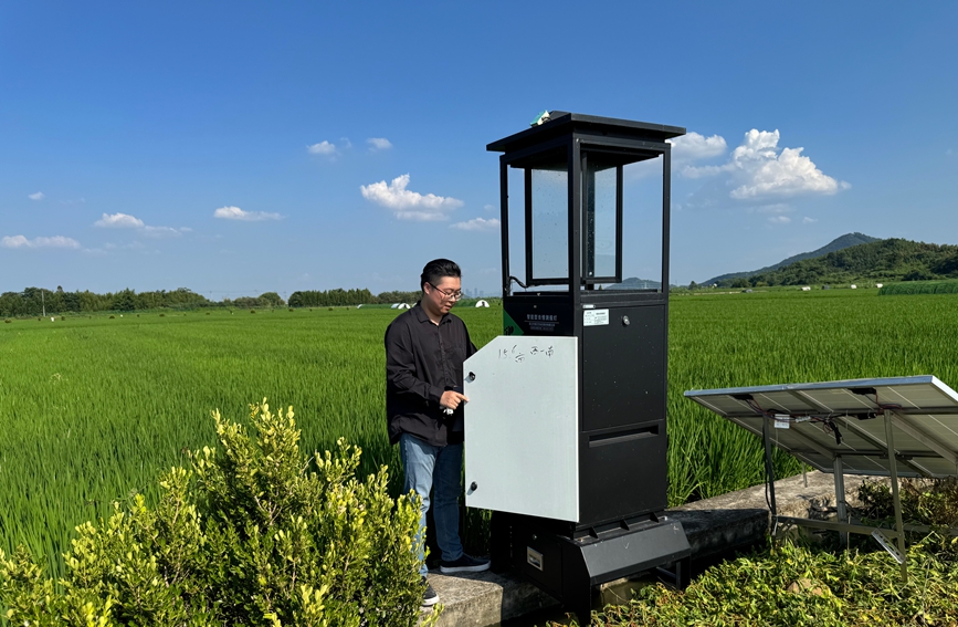 吳弘洋檢查智能虫情測報燈使用情況。受訪者供圖。