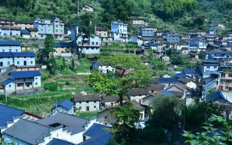 千義坑村全貌。杭鋼集團供圖