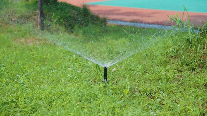 雨水回收循環系統定時澆灌草坪。唐赟秋攝