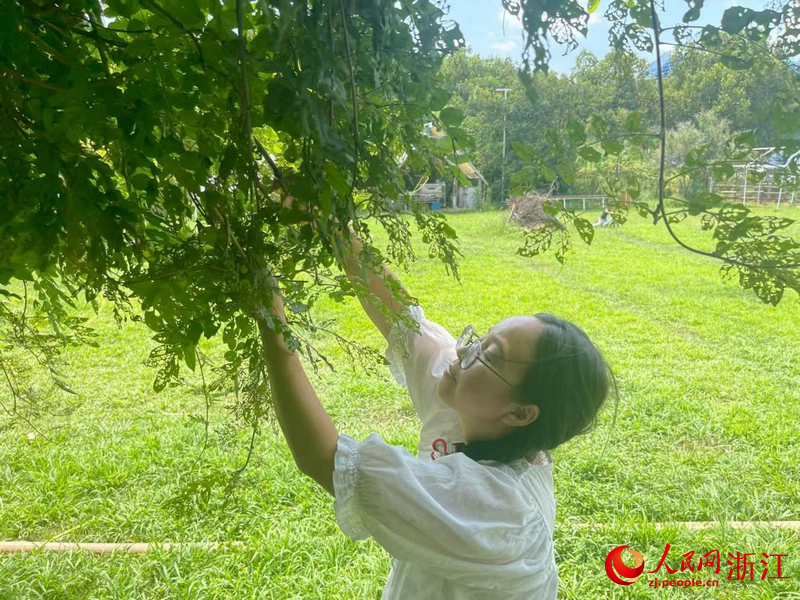 85后朱佳莉正在自家農場裡修剪植物。人民網記者 王麗瑋攝