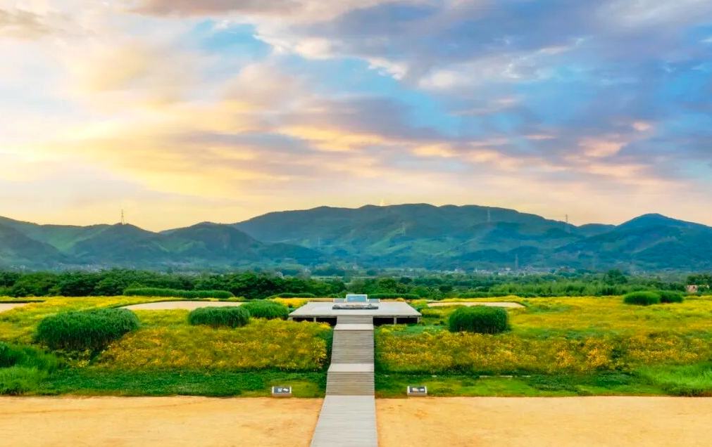 凝望历史中的良渚基因