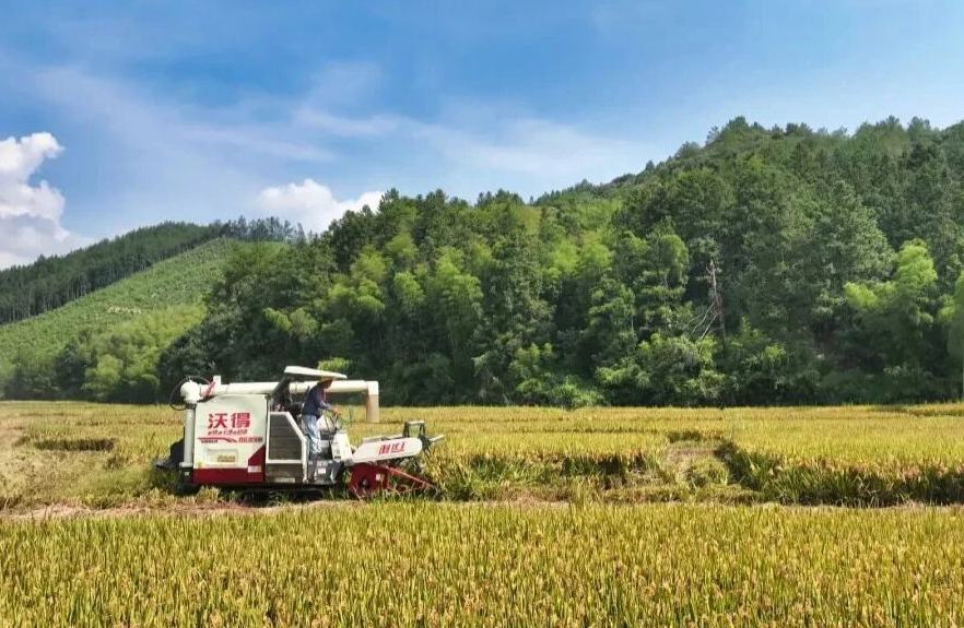 @所有人，龙泉有幅丰收画卷待你打开