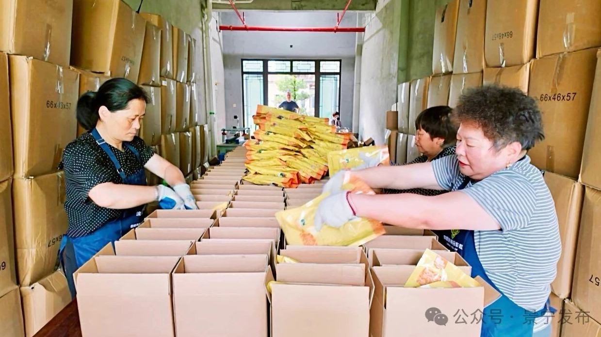 产业铺就发展路 高山开出“共富花”