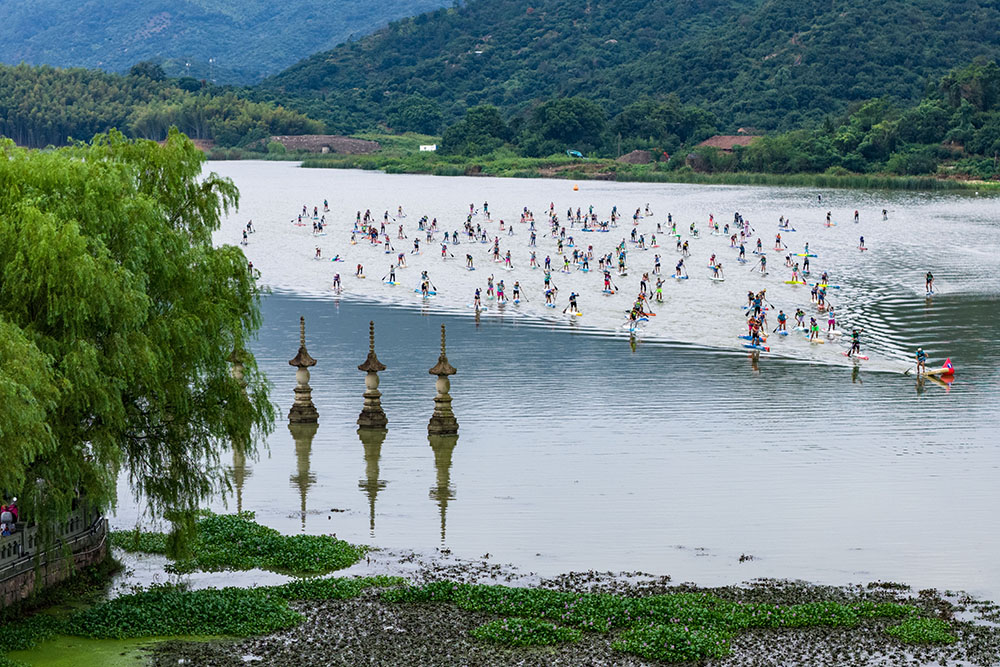 9月21日，在浙江省慈溪市觀海衛鎮，一塊塊色彩斑斕的槳板與鄉村的白牆黛瓦、遠山碧水交織成一幅動感十足的現代風景畫。人民網 章勇濤攝