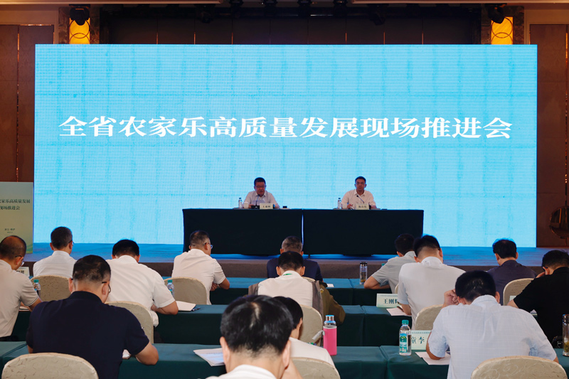 会议现场。桐庐县委宣传部供图