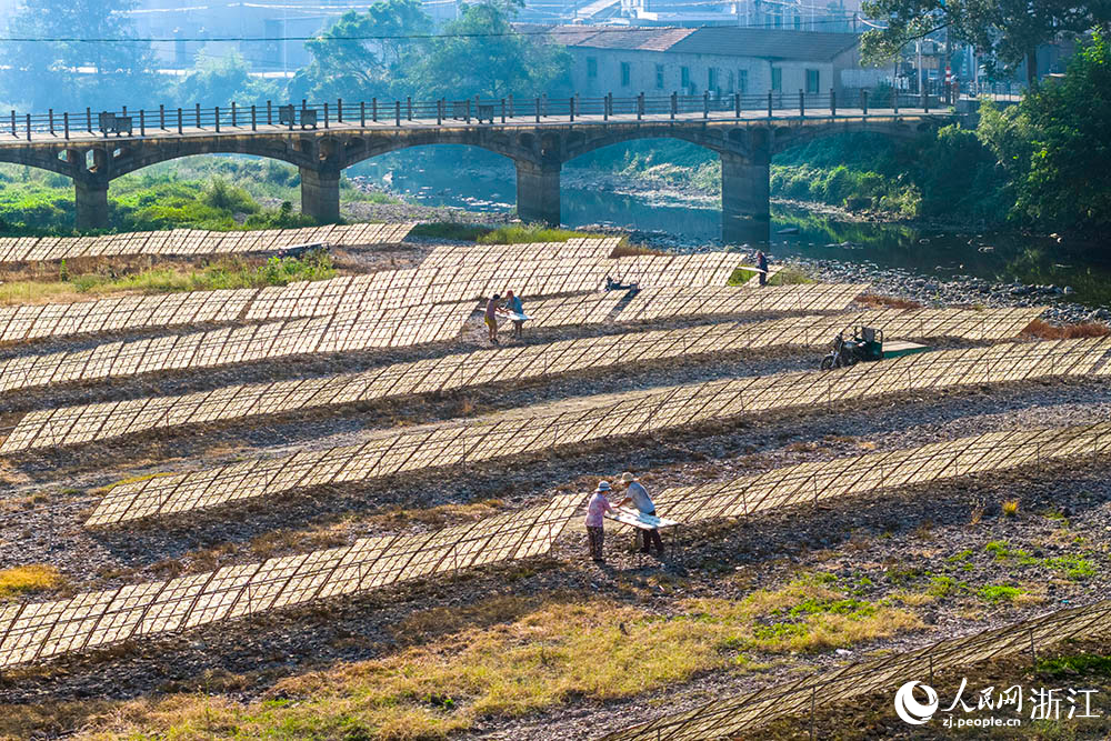 一排排榨面在陽光下舒展，與鄉村景致相映，構成一道充滿生活氣息的獨特風景線。人民網 章勇濤攝