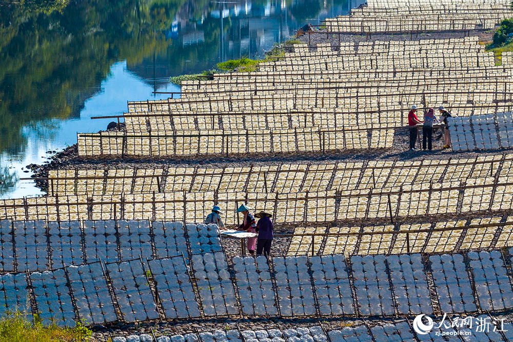 一排排榨面在陽光下舒展，與鄉村景致相映，構成一道充滿生活氣息的獨特風景線。人民網 章勇濤攝
