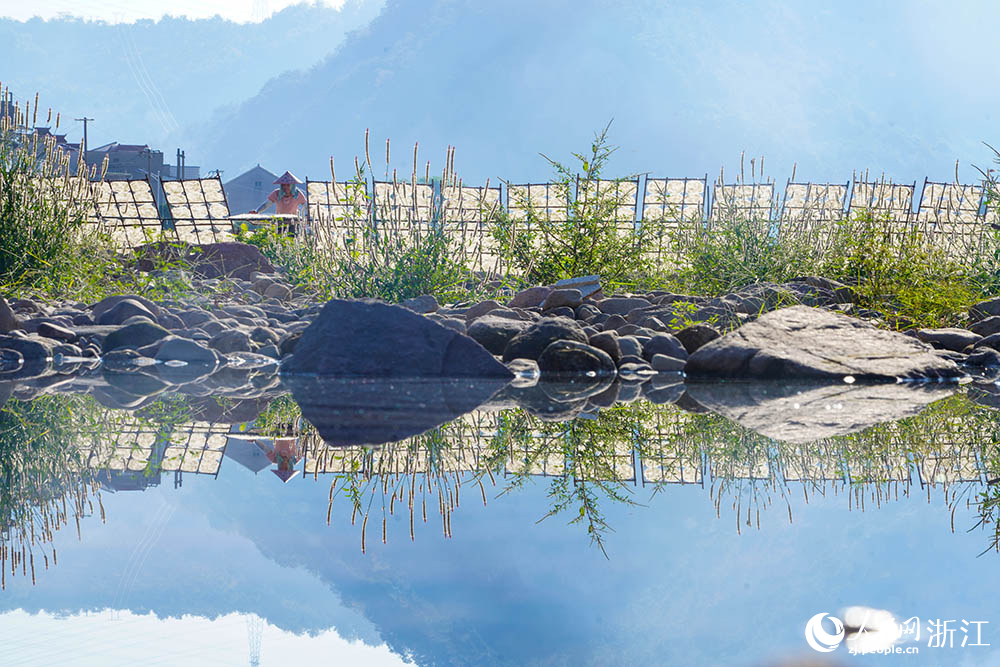 一排排榨面在阳光下舒展，与乡村景致相映，构成一道充满生活气息的独特风景线。人民网 章勇涛摄