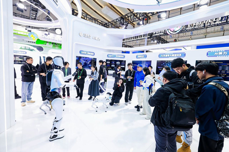 機器人表演。受訪者供圖