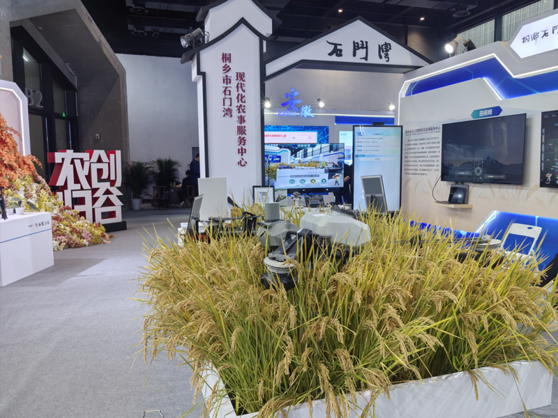 展区现场。桐乡市委宣传部供图