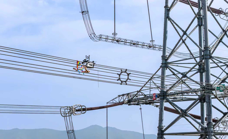 作業現場。國網湖州供電公司供圖