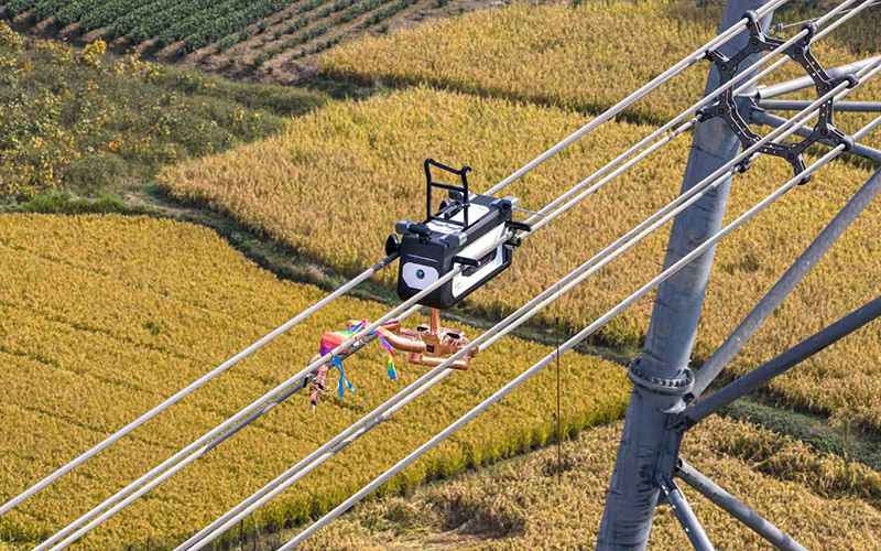 作業現場。國網湖州供電公司供圖