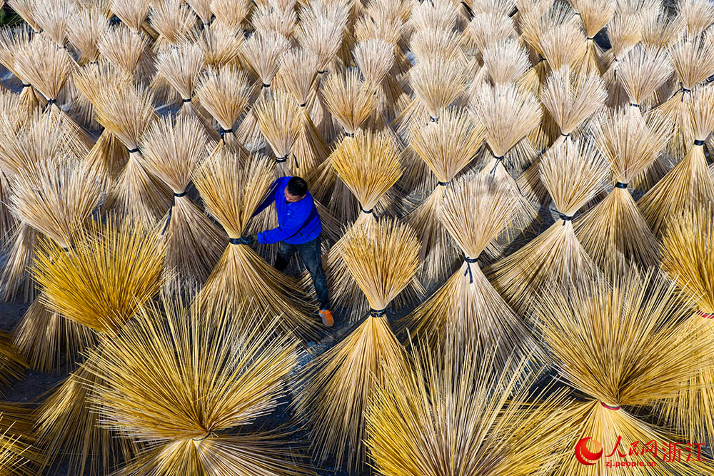 近日，在浙江省龙泉市八都镇，趁着天气晴好，工人正在翻晒加工好的竹丝。人民网 章勇涛摄