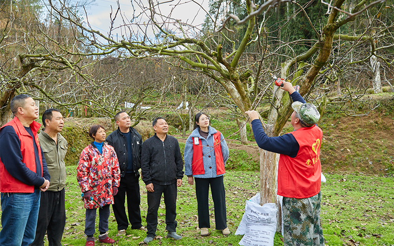 为群众开展技能培训。云和县委宣传部供图