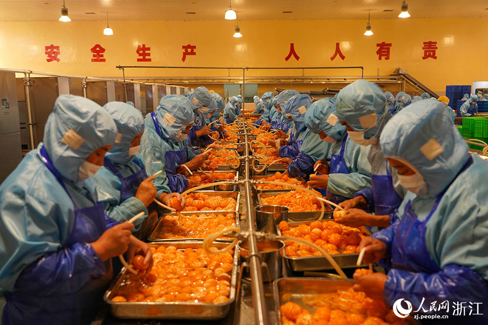 在浙江省台州市黄岩区一食品车间内，工人们抓紧分拣、加工橘子。人民网 章勇涛摄