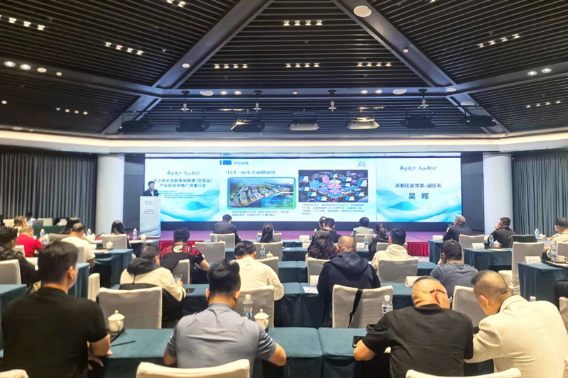 推介会现场。莲都区委宣传部供图