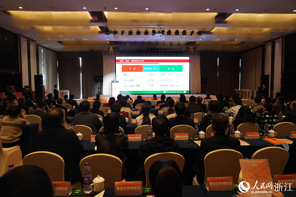 浙江柑橘产业高质量发展大会暨2025台州黄岩蜜橘季系列活动在浙江黄岩举办。人民网 章勇涛摄