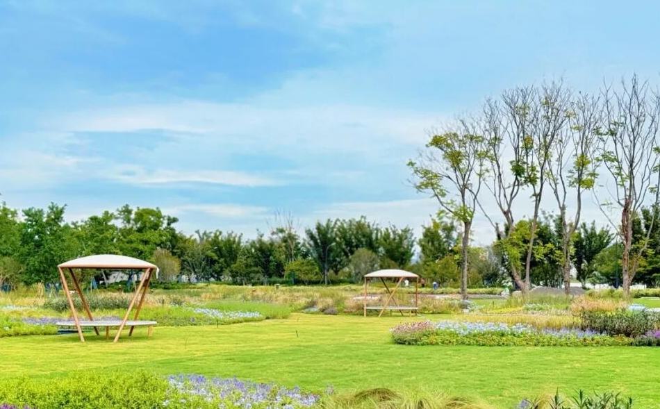 西湖區千畝公園，這個周末有好“市”