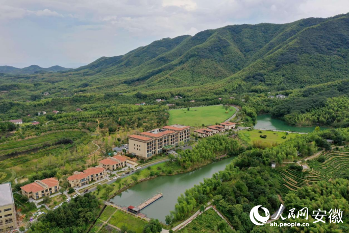 省級森林康養基地——廣德澄德現代庄園。人民網記者 陳若天攝