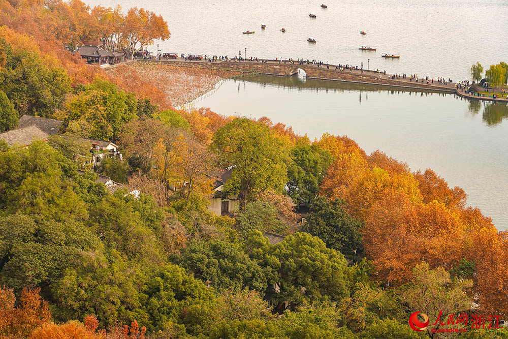 冬日杭州西湖，秋韵未散。人民网 章勇涛摄