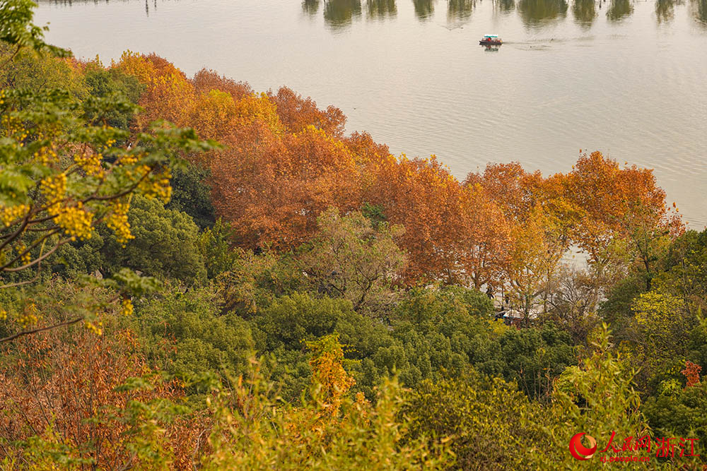 冬日杭州西湖，秋韵未散。人民网 章勇涛摄