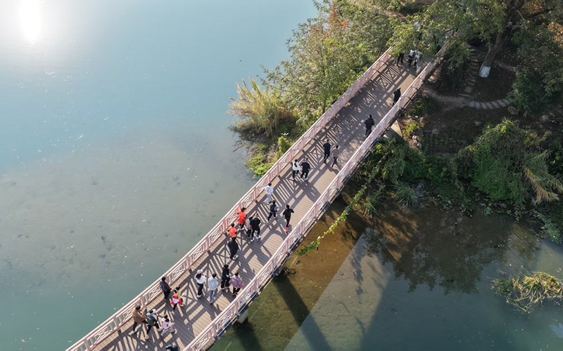 健身跑活動。仙居縣委宣傳部供圖