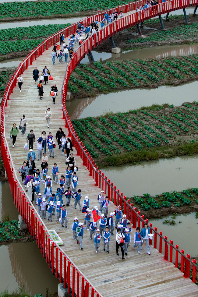 兒童研學。陳紹華攝