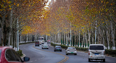 安徽合肥：“繡花針”裡，見“合”心