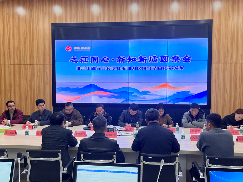 “之江同心·新知新质圆桌会”现场。横街镇供图