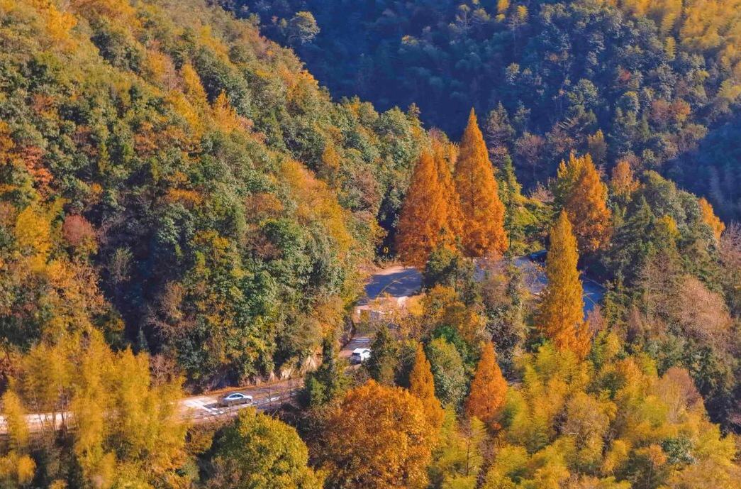 比油画还惊艳的宁海冬色！每一帧都值得收藏