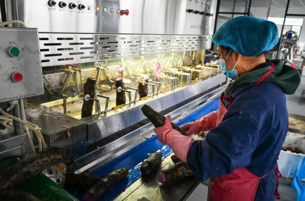 绝了！文成糯米山药 “开挂式” 升级