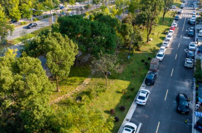 城市“绿口袋”，又上新啦