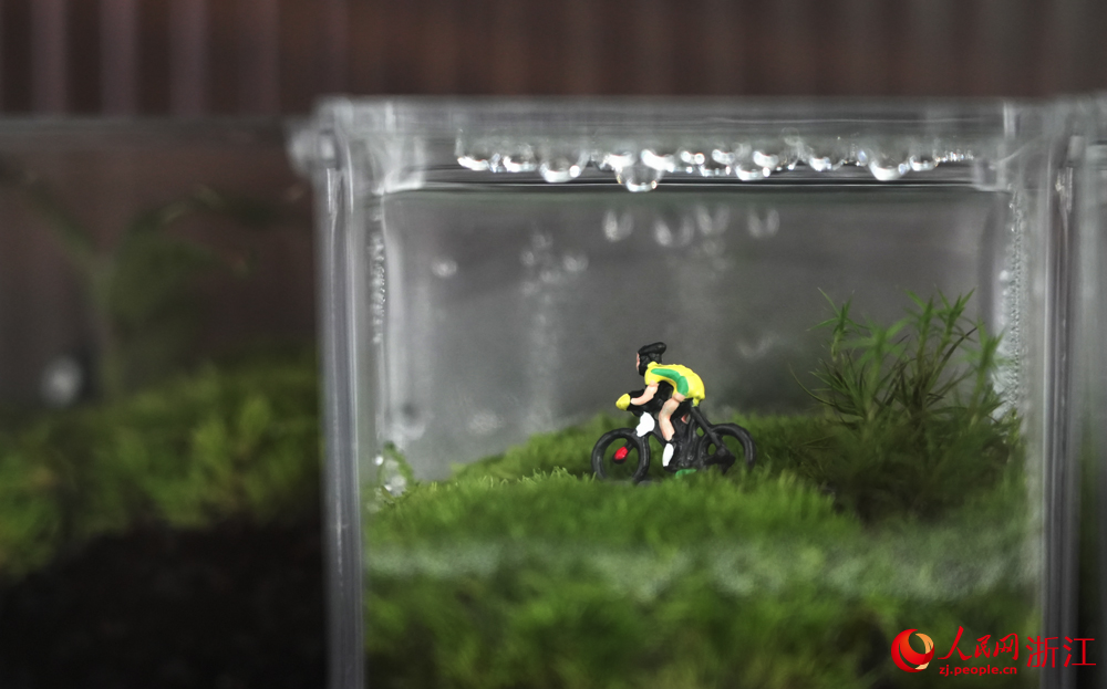 丽水市莲都区老竹畲族镇共富工坊内的苔藓微瓶栽。人民网 刘欣蔚摄