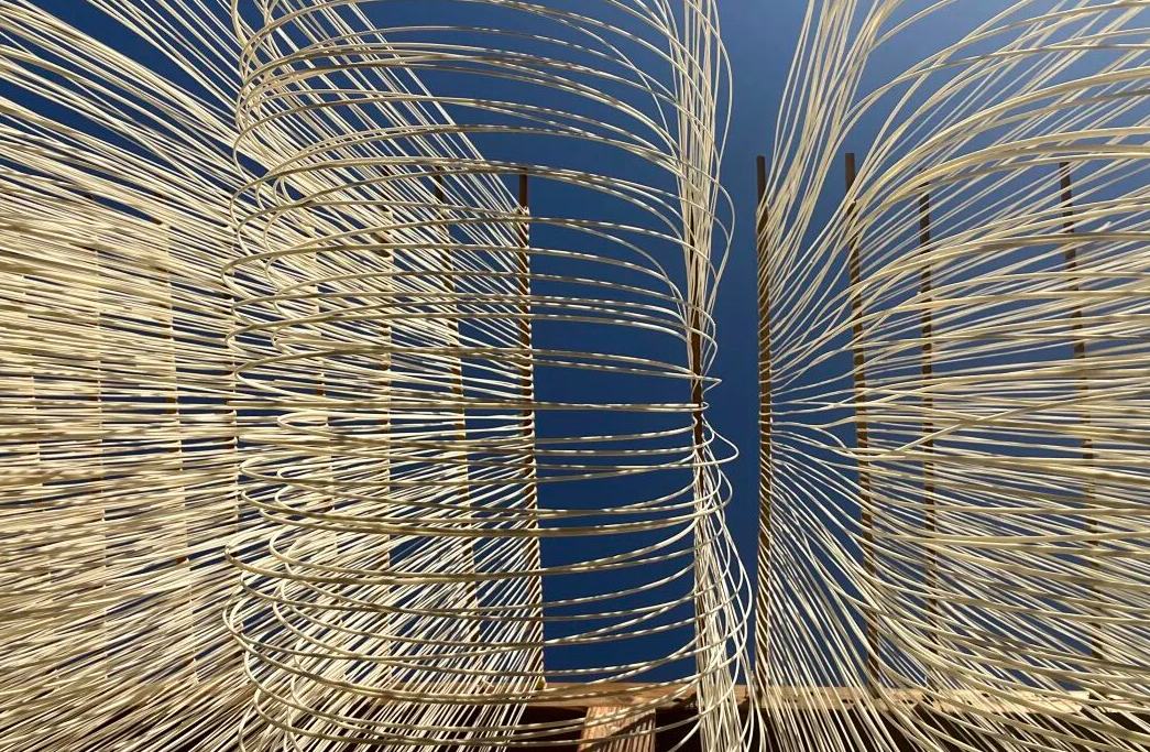 银杏黄时索面香！万缕银丝牵引山乡踏上共富路