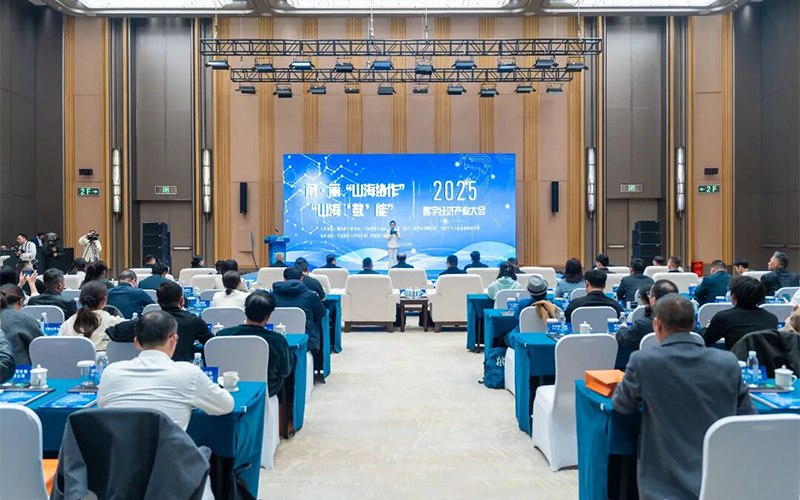 大会现场。主办方供图