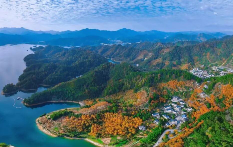 现在就出发！大山深处藏着一片“金色海洋”