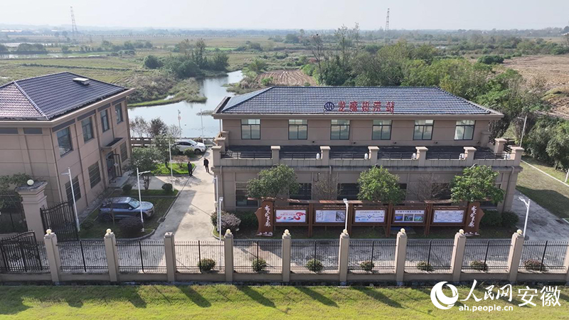 金安区双河镇龙嘴排涝站。人民网记者 周坤摄