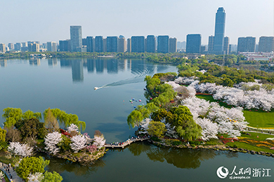 浙江绍兴：赏繁花盛景 绘文旅画卷
