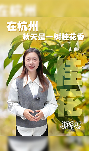杭州秋天的记忆，独属于一树桂花香。