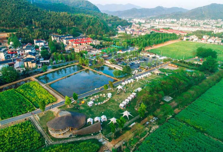 看浙江乡村如何“攥指成拳”