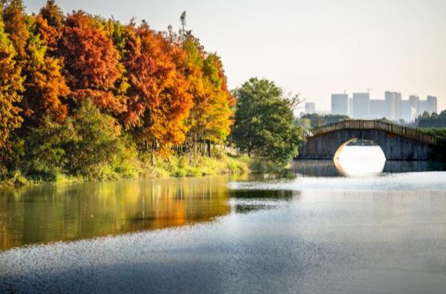 温州“限定皮肤”上新！